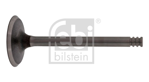 Intake Valve